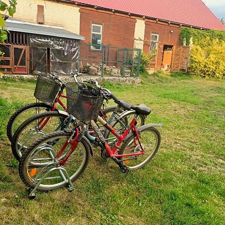 Malinowy Gaj - Agroturystyka Z Alpakami I Innymi Zwierzetami Swietajno  المظهر الخارجي الصورة