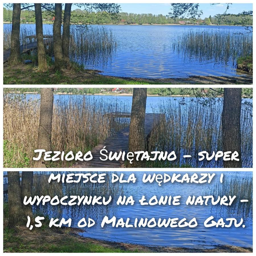 Malinowy Gaj - Agroturystyka Z Alpakami I Innymi Zwierzetami Swietajno  المظهر الخارجي الصورة